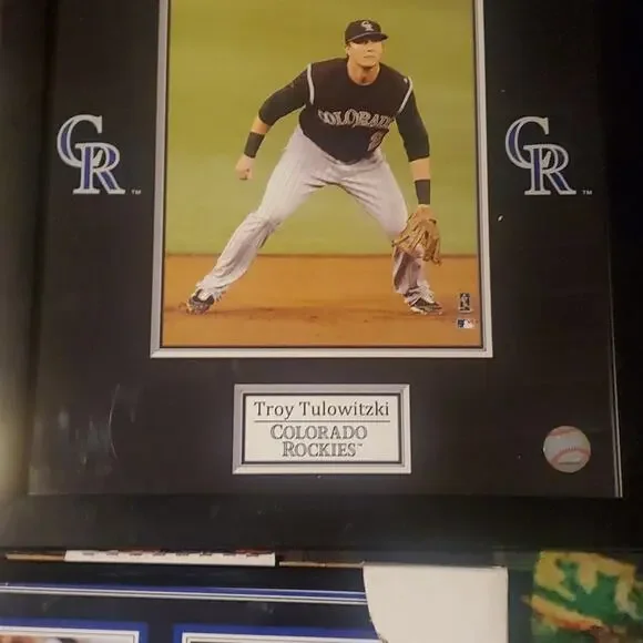 COLORADO ROCKIES LOT - Picture 3 of 11